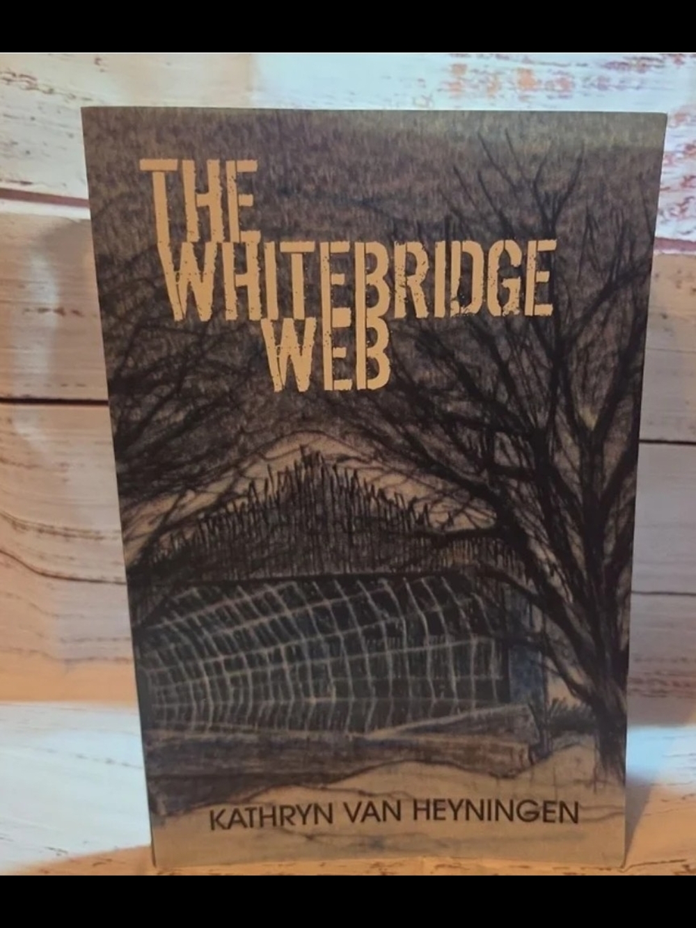 The Whitebridge Web by Kathryn Van Heyningen - Dark Blue Cover
